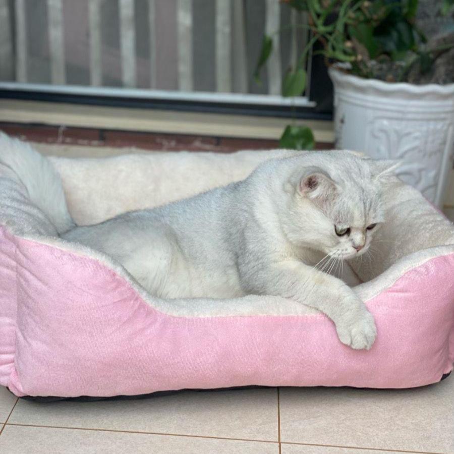 KittyCoves™ Square Cat Bed