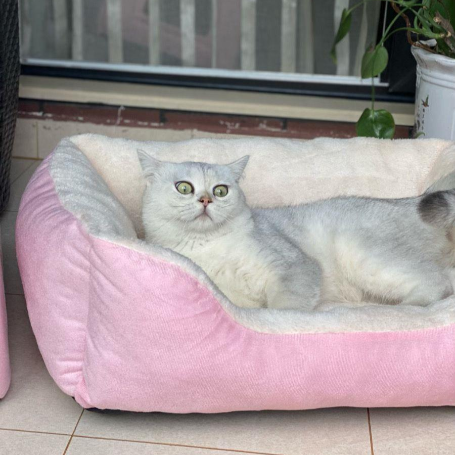 KittyCoves™ Square Cat Bed