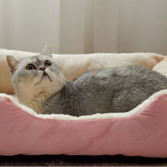 KittyCoves™ Square Cat Bed