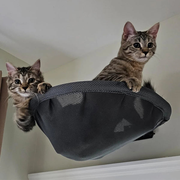 KittyCoves™ Foldable Cat Hammock